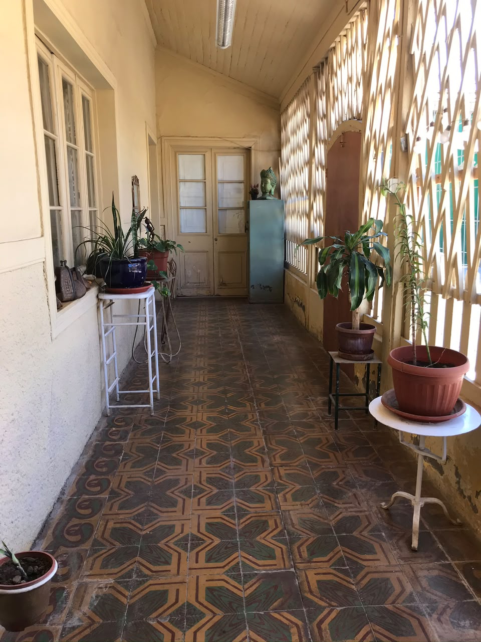 Galería histórica de Casa Vallereggia con baldosas originales y plantas